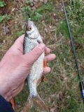 IMG_20250505_180004.jpg