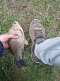 IMG-20250505-WA0052.jpg
