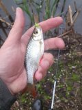 IMG_20250505_183918.jpg