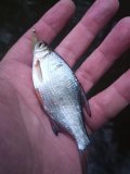 IMG_20250505_193001.jpg