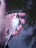 IMG_20250505_194127.jpg