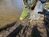 IMG_3238.jpeg