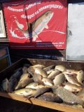IMG-20250506-WA0002.jpg