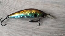 IMG_20250506_130752.jpg