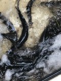 IMG_6084.jpeg