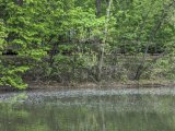 PXL_20250504_105716714.jpg