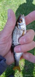 IMG_20250506_152305_1.jpg