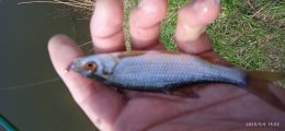 IMG_20250506_150232_1.jpg