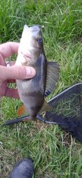 IMG_20250506_115734_1.jpg