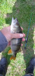 IMG_20250506_133038.jpg