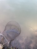 IMG_6118.jpeg