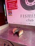 IMG_20250506_202242_114.jpg