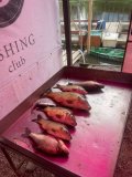 IMG_20250506_202248_377.jpg