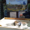 IMG_20250506_132112.jpg