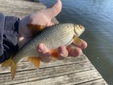 IMG_3642.jpeg