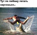 M2_-YbtOZhY.jpg