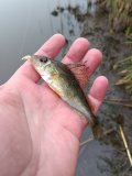 IMG_20250507_071350.jpg