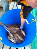 IMG-20250507-WA0007.jpg