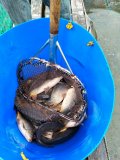 IMG-20250507-WA0018.jpg