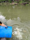 IMG-20250507-WA0036.jpg