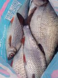 IMG_20250507_095512.jpg