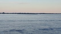 20250507_183552.jpg