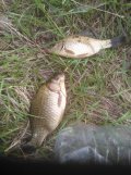 IMG_20250507_175246.jpg