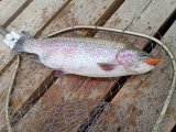 IMG_20250507_151725.jpg