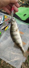 IMG_20250507_190931.jpg
