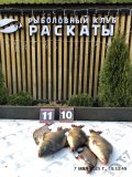 IMG-20250508-WA0065.jpg