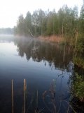 IMG_20250508_044701.jpg