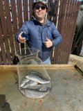 IMG_5599.jpeg