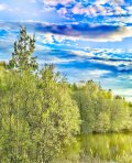 IMG_20250508_134640.jpg