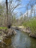 IMG_8004_П.jpg