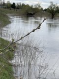 IMG_9006.jpeg