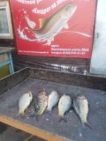 IMG-20250508-WA0014.jpg
