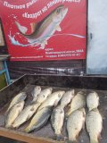 IMG-20250508-WA0013.jpg