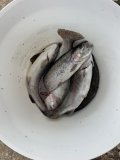 IMG_9410.jpeg