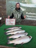 IMG_3640.jpeg