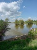 IMG-20250508-WA0007.jpg
