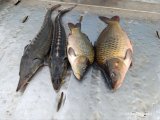 IMG_20250508_194242_717.jpg