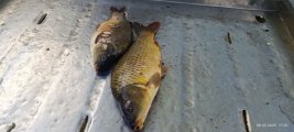 IMG_20250508_194235_479.jpg