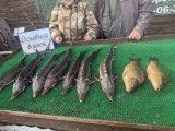 IMG_4492.jpeg