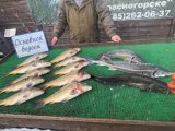 IMG_4490.jpeg