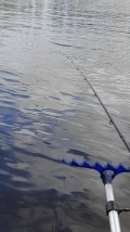 IMG-20250508-WA0048.jpeg