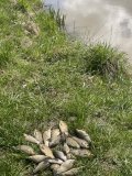 IMG_5872.jpeg