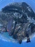 IMG_3679.jpeg