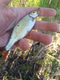IMG_20250509_062301.jpg