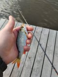 IMG_20250508_091051.jpg