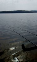 20250509_095557.jpg